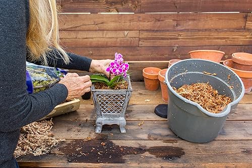 Miniatura 5 de SuperMoss - Musgo seco para orquídea sphagnum seco