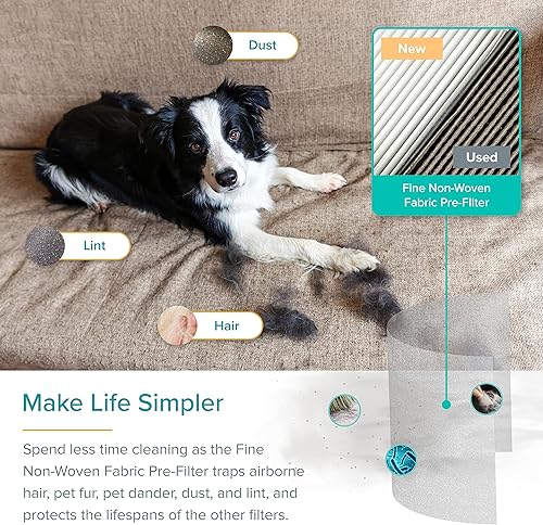 Miniatura 7 de LEVOIT Purificador de aire para dormitorio grande filtro HEPA H13 limpiador de aire para mascotas caspa de cabello alergias olores eliminación del