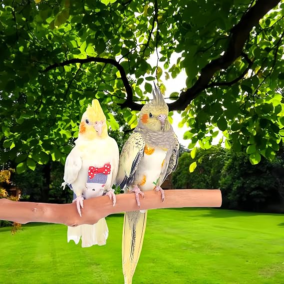 2Pcs Bird Diapers Bird Harness Flight Suits Diapers with 80 Inch Flying Leash Parrot Nappy Washable Cute Urine Wet Suit for Cockatiel Conure Macaw Budgies Parakeet-Pineapple&Kitten,M