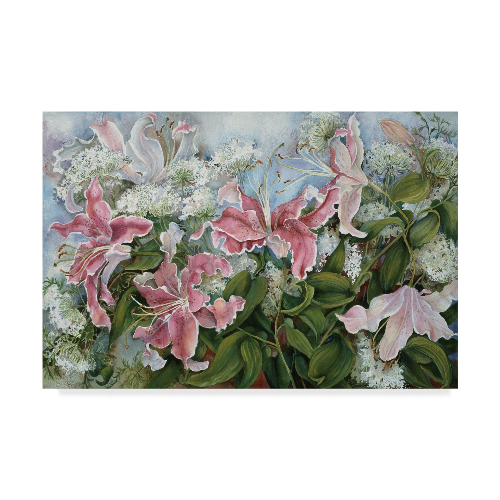 Trademark Fine Art ALI30400-C3047GG Pink Star Gazer Lilies by
