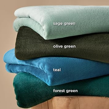 Bedsure GentleSoft Sage Green Fleece Blankets Queen Size - 280GSM Soft Lightweight Plush Cozy Blanket for Bed, Sofa, Couch, Travel, Camping