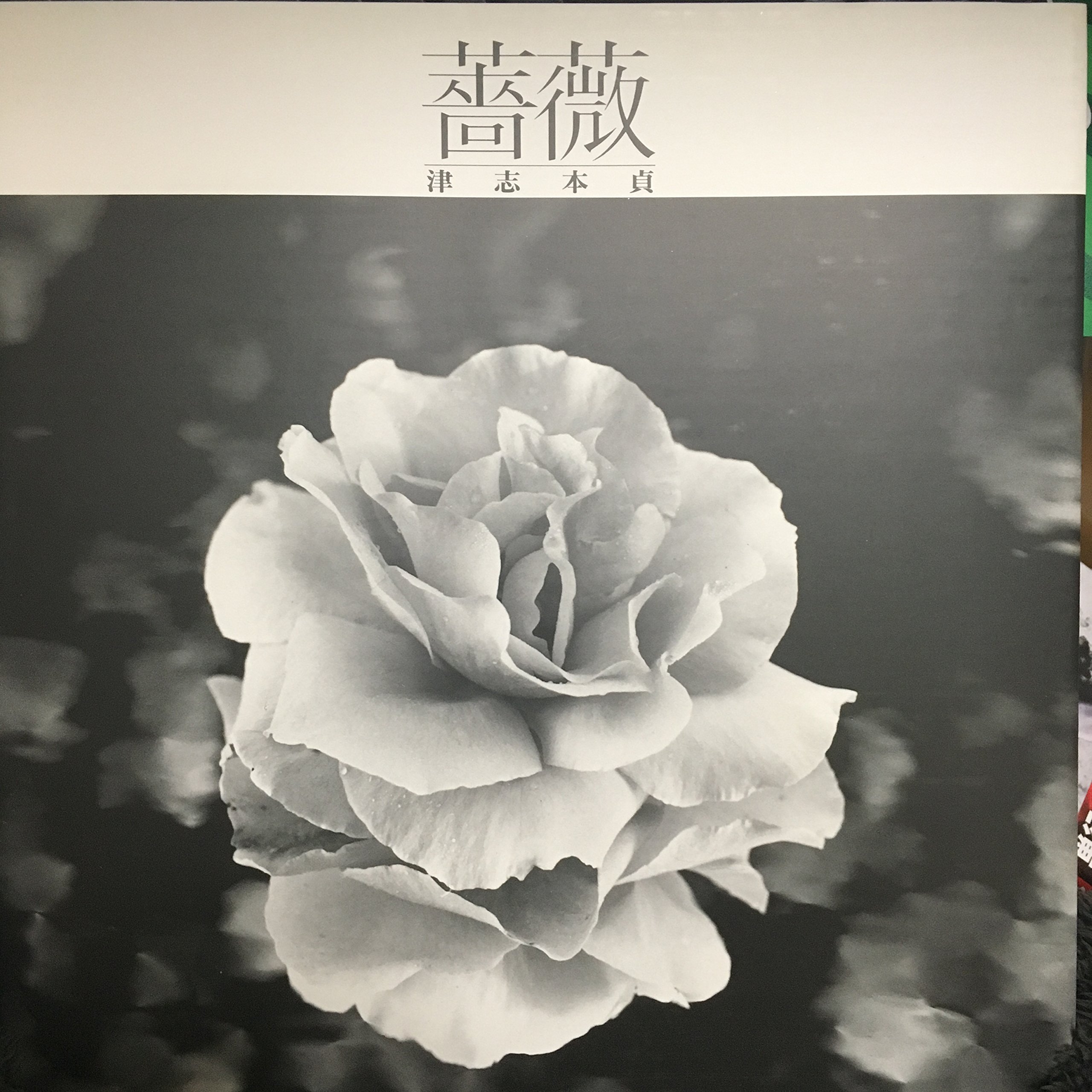 田村一「薔薇」 作品詳細: 洋壺の薔薇