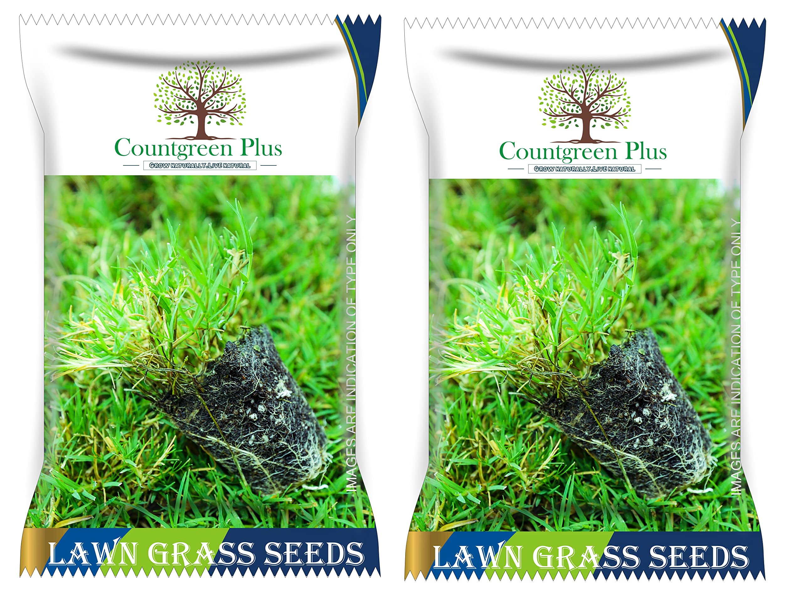 Countgreen Plus Organic Bermuda Grass Seeds for Lush Gardens, Vibrant Lawns, and Durable Sports Grounds – 2-Pack Combo (500 Seeds per Pack) (B0BZLC7XX8) Amazon Price History, Amazon Price Tracker