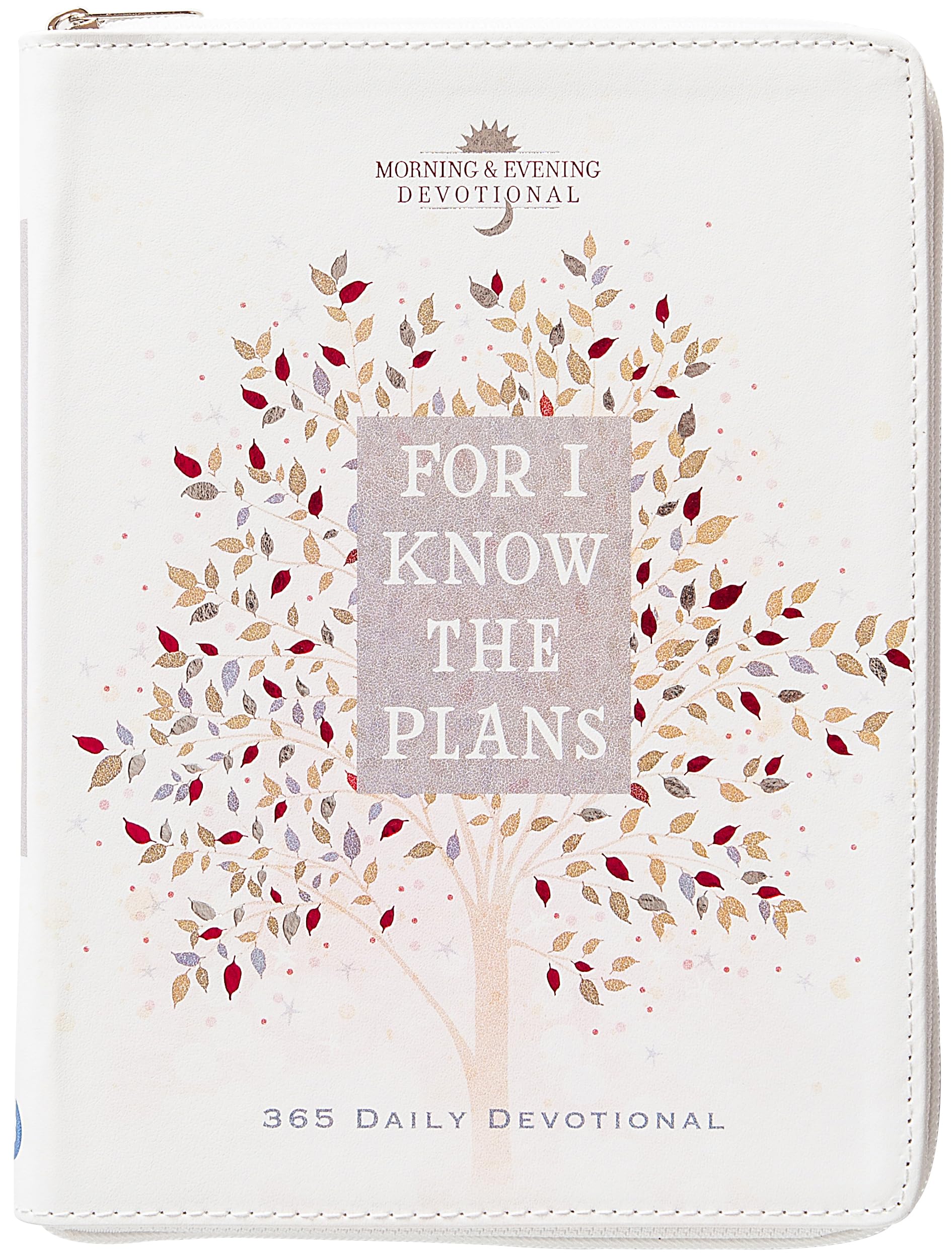 For I Know the Plans by  Broadstreet Publishing Group LLC - 9781424570874
