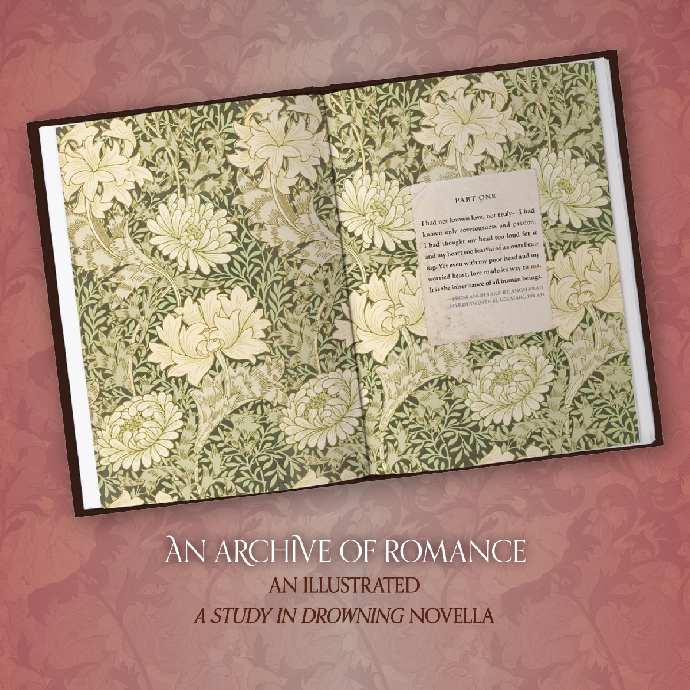 An Archive of Romance Deluxe Illustrated Edition: A Study in Drowning Novella: 3