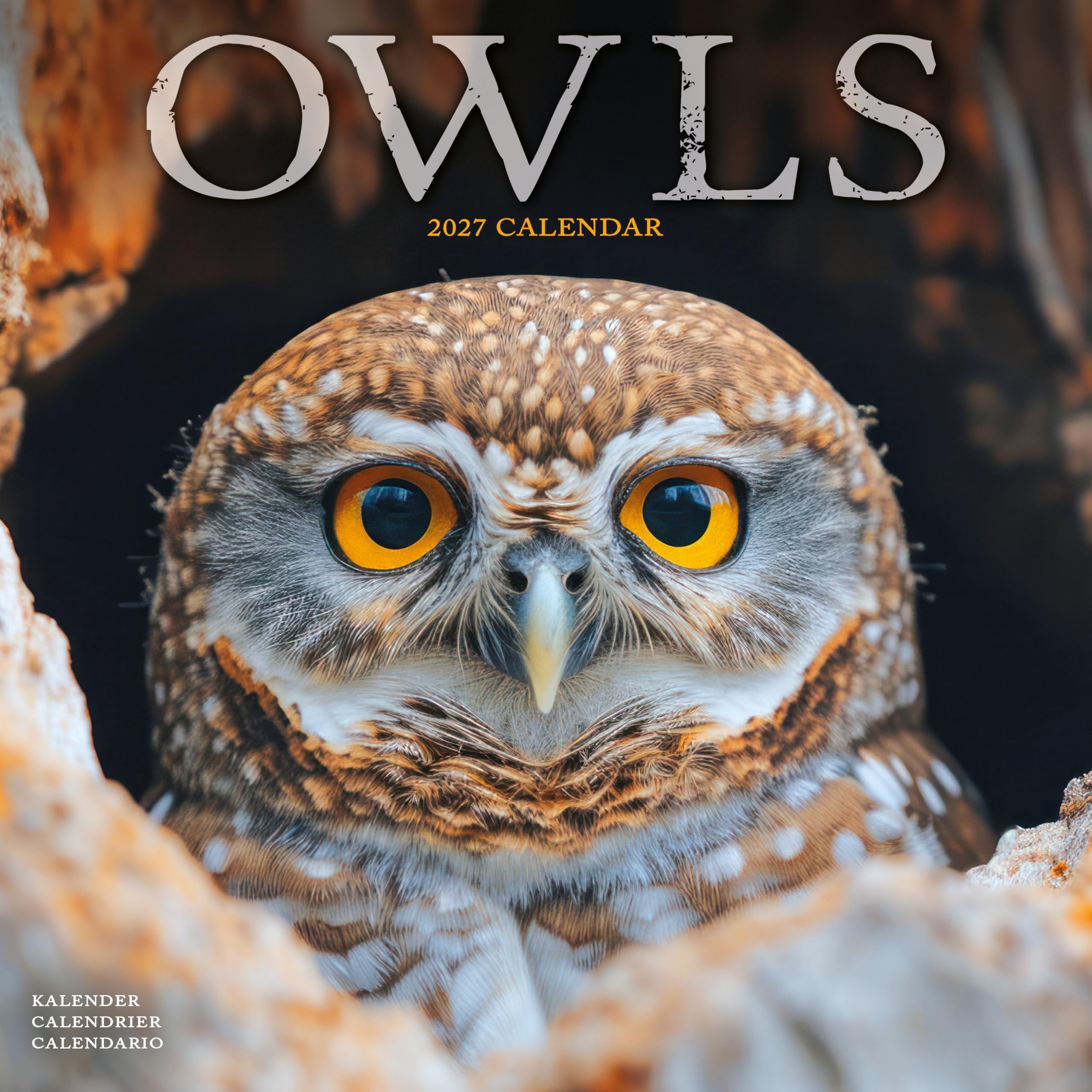 Owls Calendar 2027, Wall Calendars, Month To View, Animals, Gift