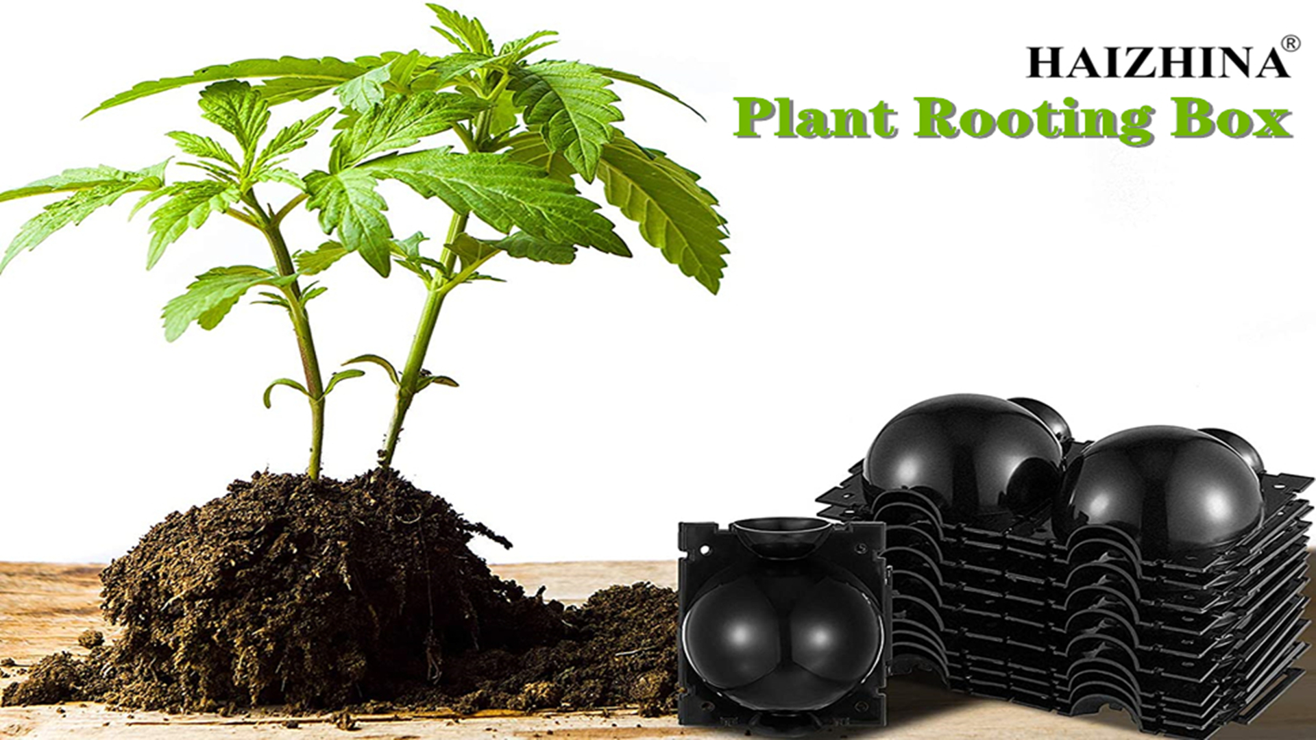 Dispositivos para enraizamiento de plantas reutilizables miniatura 7