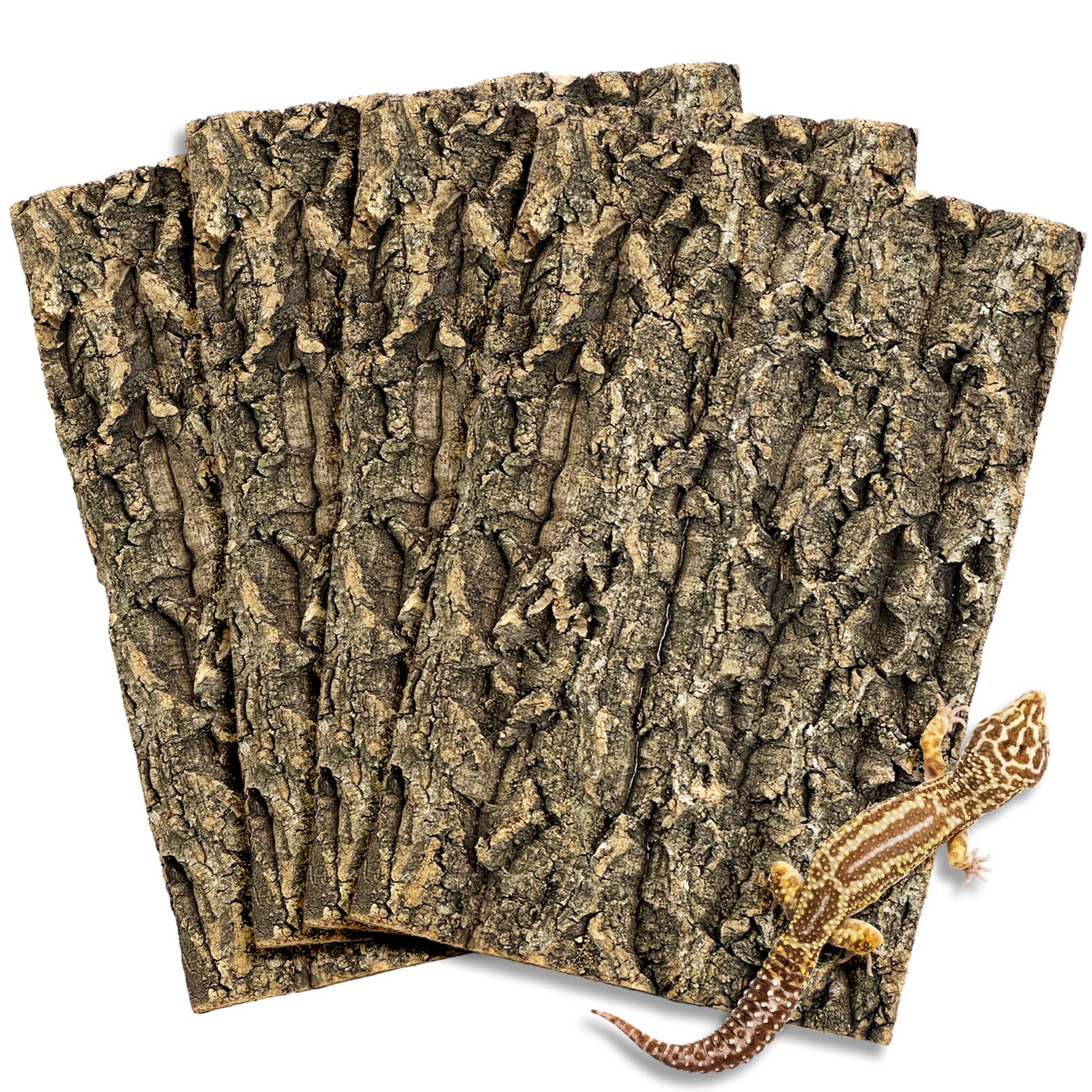 Fhiny Fondo de corteza de corcho natural 29,5 x 19,5 cm para reptiles, dragón barbudo, telón de fondo de terrario, decoración de pared para tortuga, geco, lagarto, serpiente, araña y rana, 4 piezas