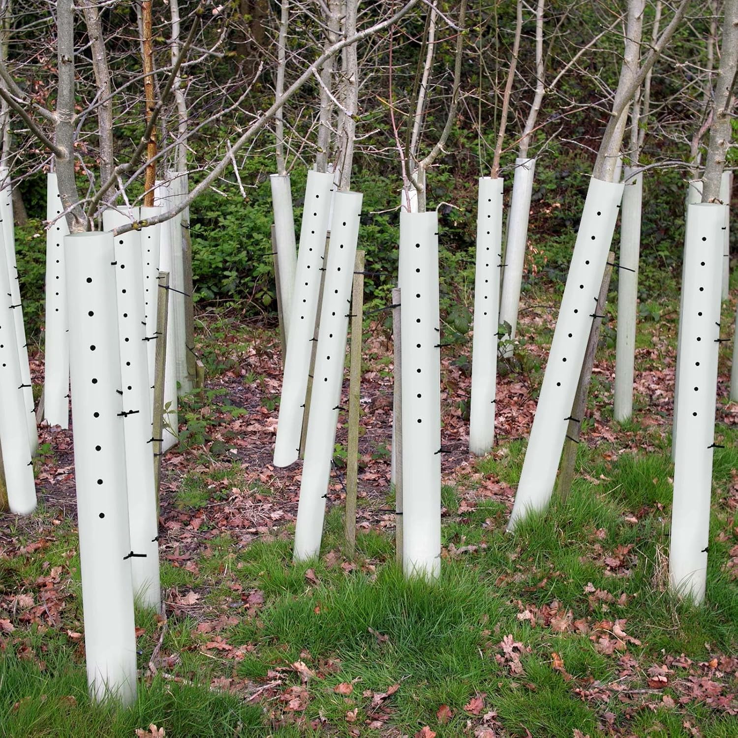 Pushglossy 50 Pack 60 Inch Tree Seedling Sapling Grow Tube Standard Vented Seedling Protectors Split Tree Grow Protector with Releasable Zip Ties Plant Shelter for Trunk Against Deer Rodent