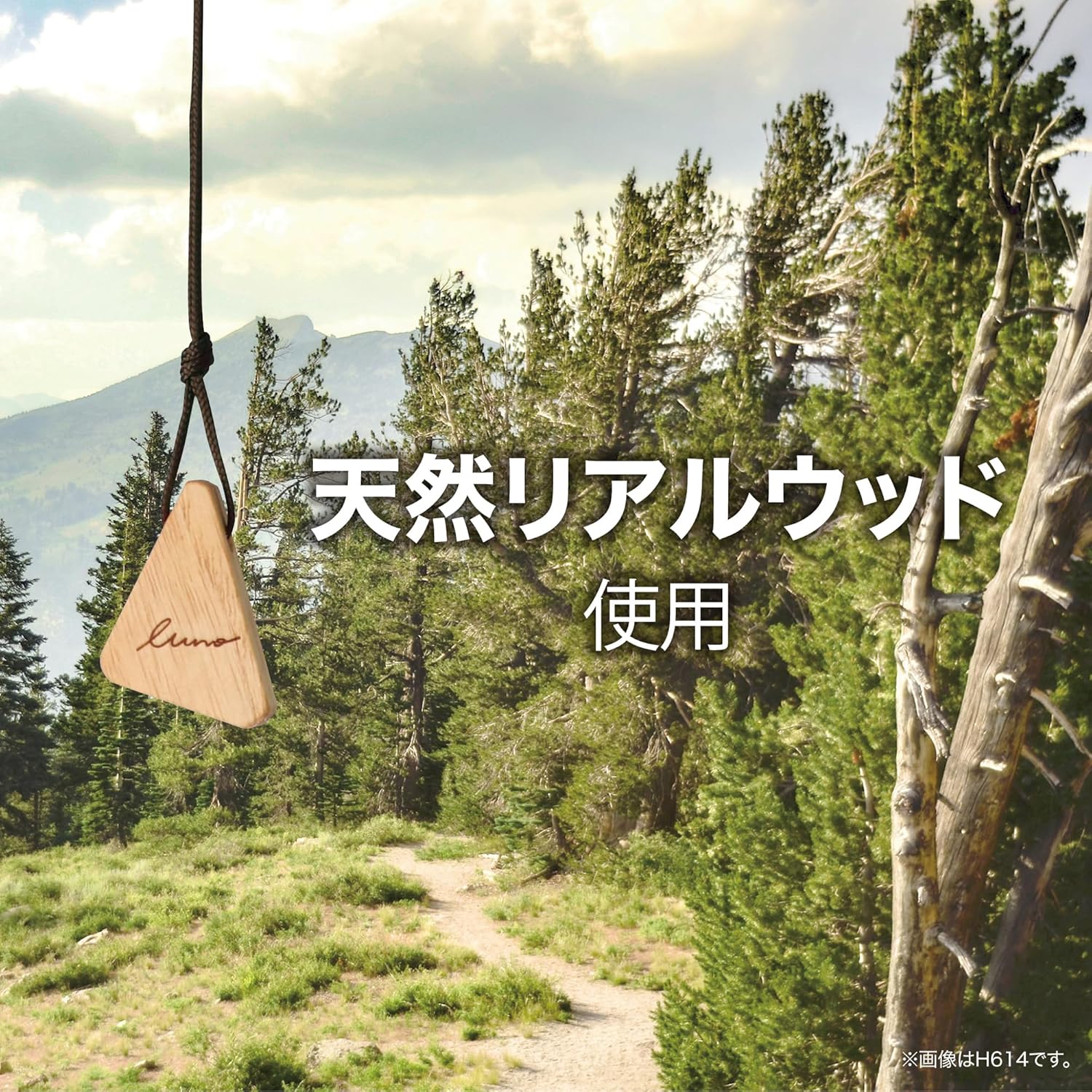 カーメイト(CARMATE) 車用 消臭芳香剤 ルーノ ハンギングウッド 吊り下げ型 天然木 ミュゲ&グリーンアップル 14g H611