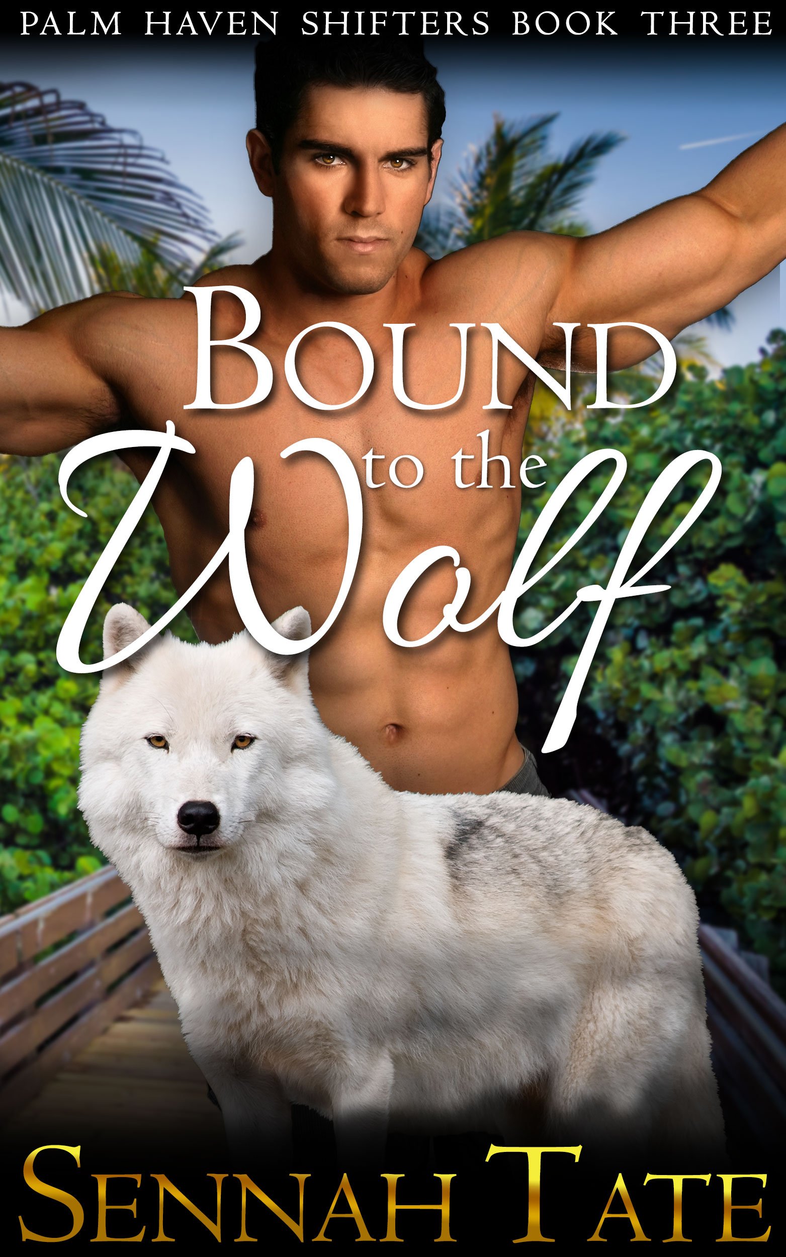 Bound to the Wolf (Palm Haven Shifters Book 3)