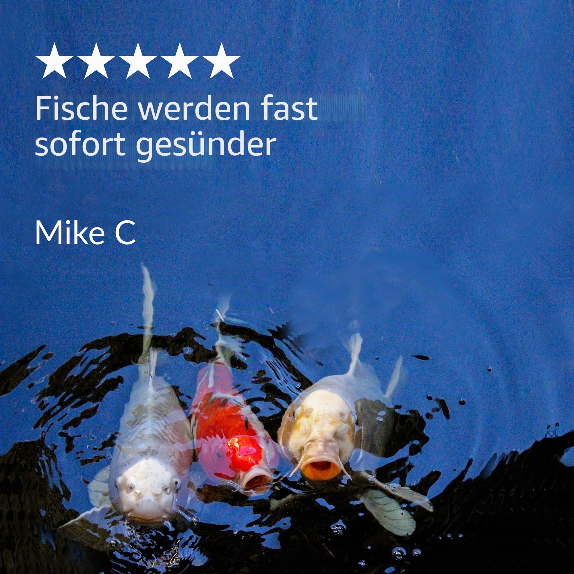 API Pond Melafix Teichfischmittel, 473 ml Flasche