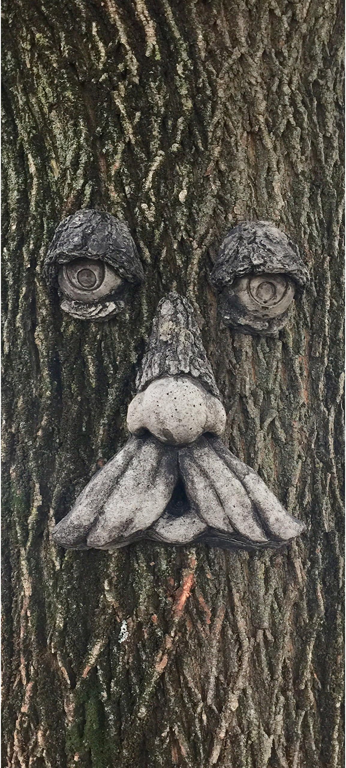 Mountain Man Tree Face (Weathered)
