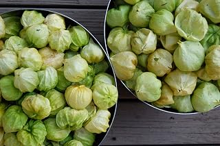 Caribou Seed Company | TOMATILLO 'Toma Verde" | 35-40 Seeds | Heirloom Variety | Fresh Seed
