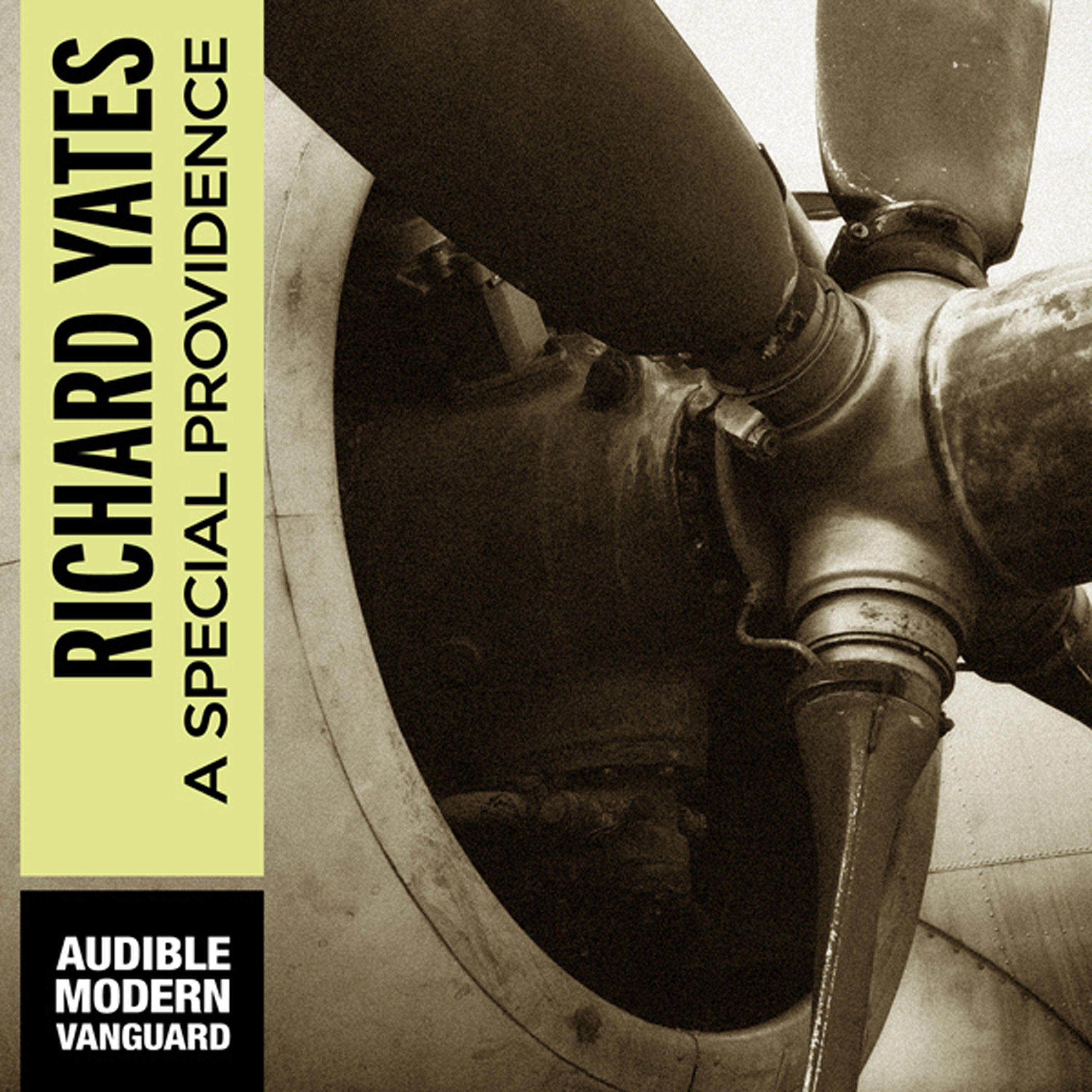 A Special Providence