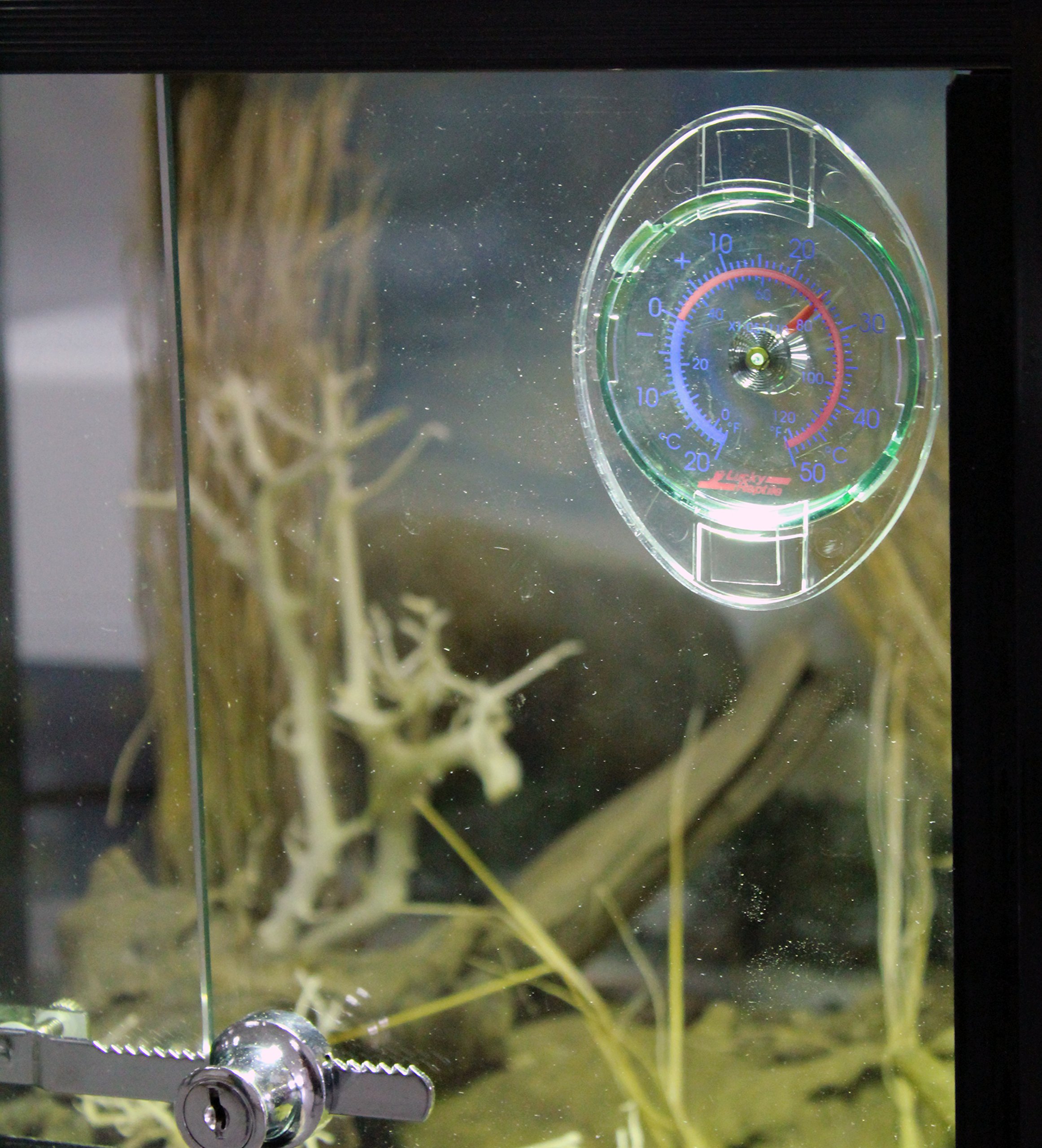 Termometro In Vetro Per Terrario Lucky Reptile - Scala Celsius E Fahrenheit, Da -20 A 50°C - Foto 13