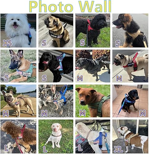 Miniatura 7 de Annchwool Arnés sin tirones para perro, con mango acolchado suave, tira reflectante a prueba de fugas y ajuste rápido para ajustar el arnés del