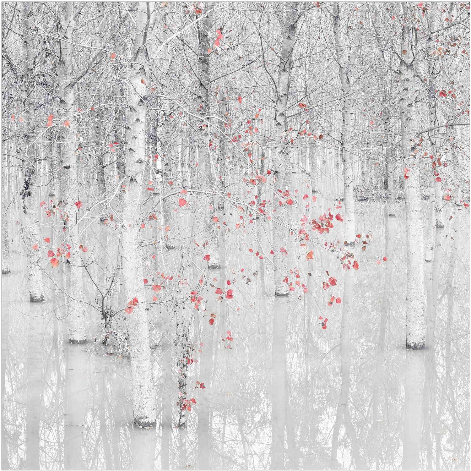 Wallpaper Birch Tree Forest with Light Pink Leaves, NonWoven Fabric