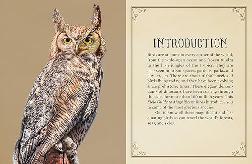 Miniatura 3 de Rompecabezas guía de campo para pájaros magníficos, 500 piezas, 20 x 14 pulgadas, con exclusiva guía de bolsillo de 32 páginas, ideal para amantes