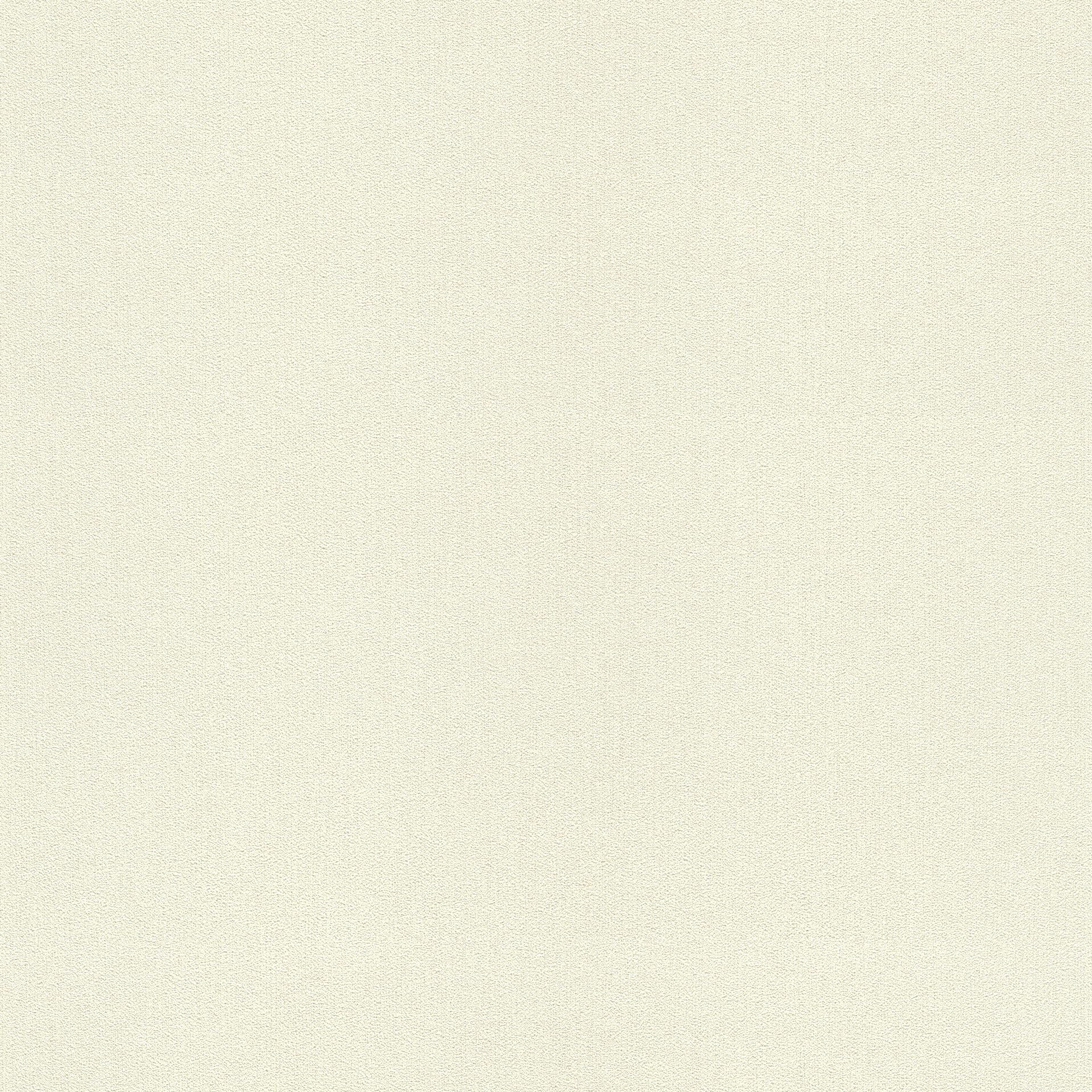 Papier peint intissé pour masquer défauts mur blanc crème pailleté Rasch