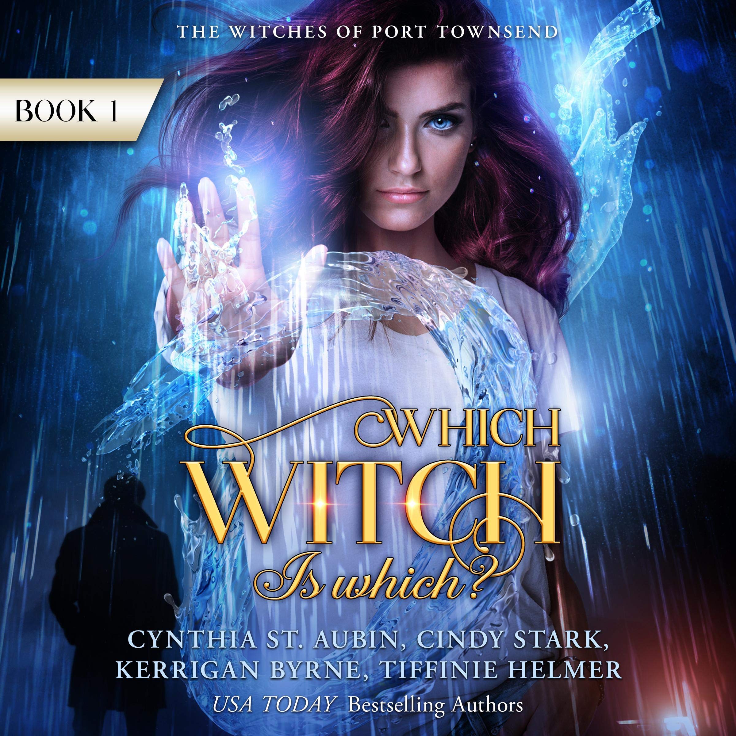 Cover art for Which Witch Is Which?