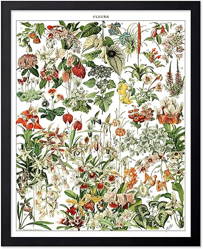 Miniatura 328 de Poster Master Póster vintage de orquídea, estampado de flores retro, arte de pared de plantas exóticas, arte botánico, regalo para hombres y