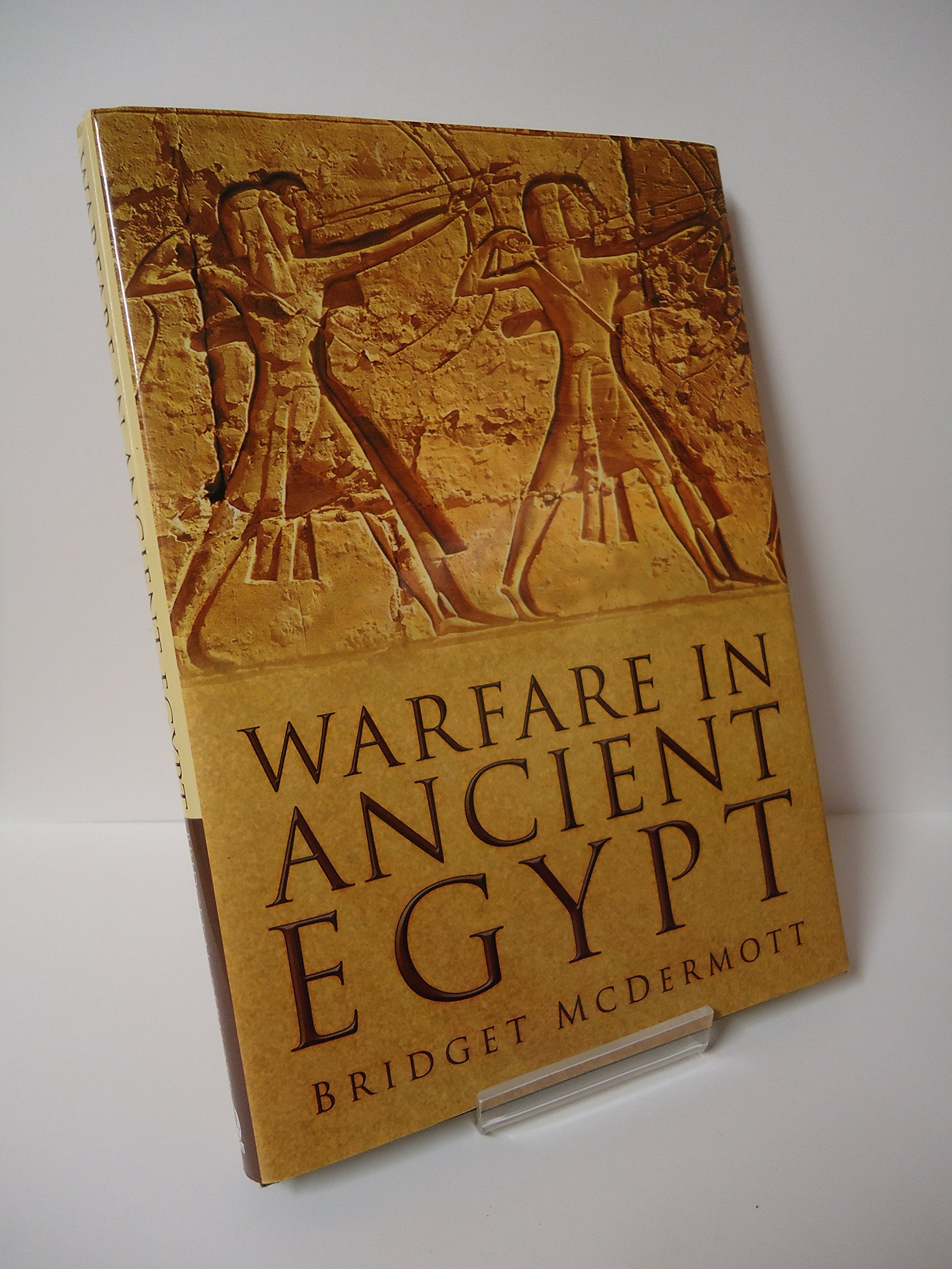 Buy Warfare in Ancient Egypt Online at desertcartINDIA