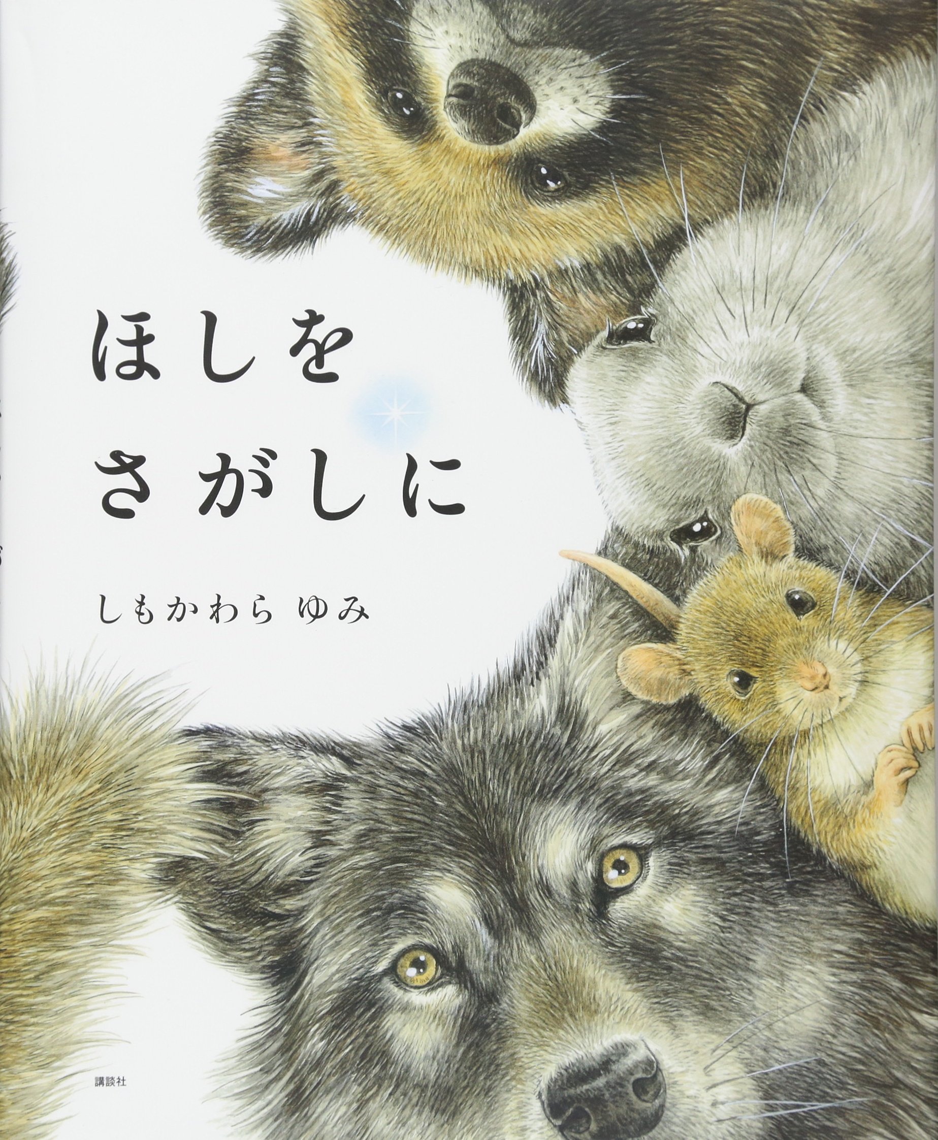 ほしをさがしに (講談社の創作絵本シリーズ) | しもかわら ゆみ |本 