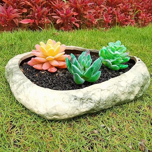 Miniatura 8 de Aditivo de suelo de roca de lava hortícola negra de 5 libras para cactus, rellenos de jarrones, suculentas y plantas de terrario, sin tintes ni
