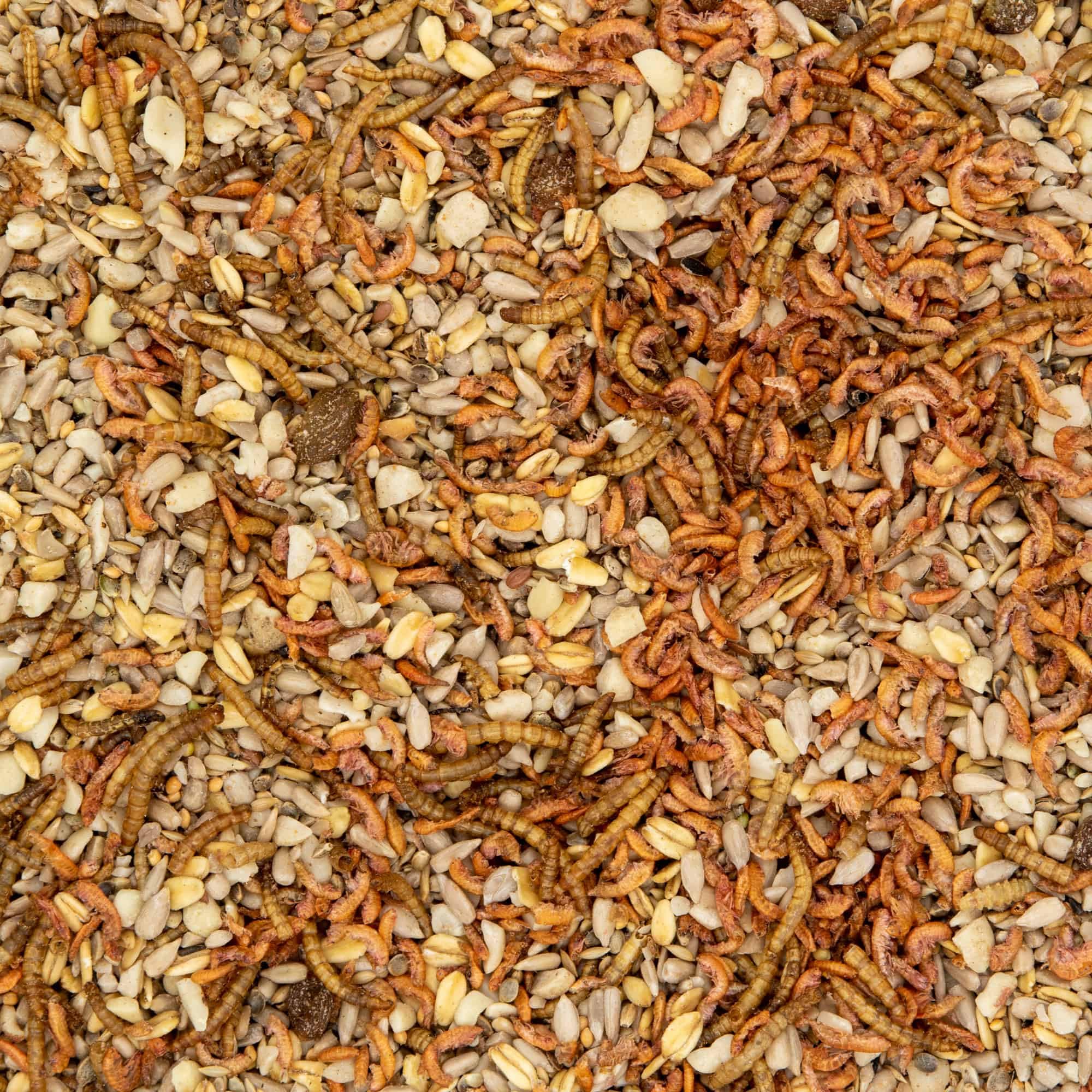 Paul´s Mühle Wildvogelfutter, Vogelfutter ideal für Brutzeit und Aufzucht, Phönix, 10 kg