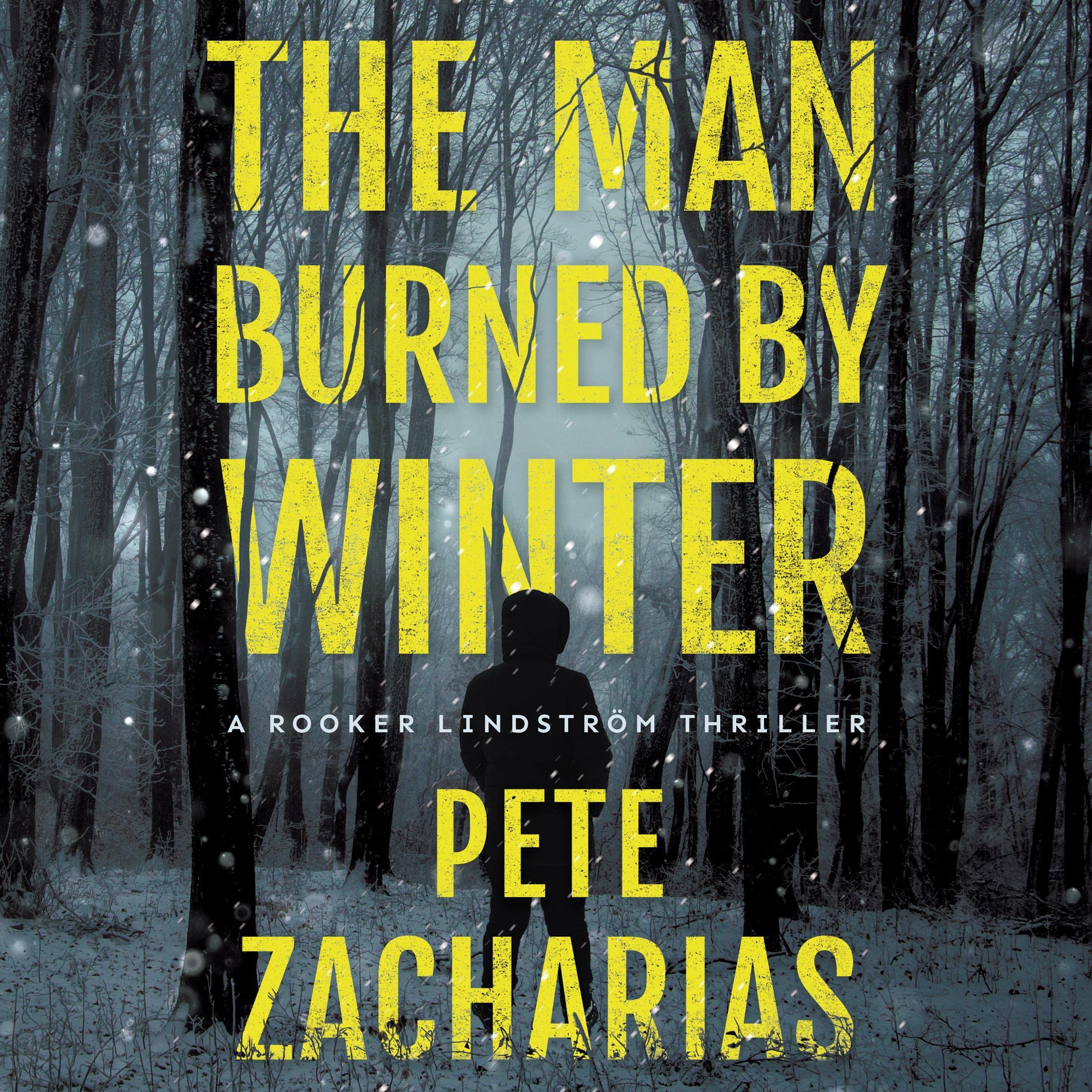 Cover art for The Man Burned by Winter
