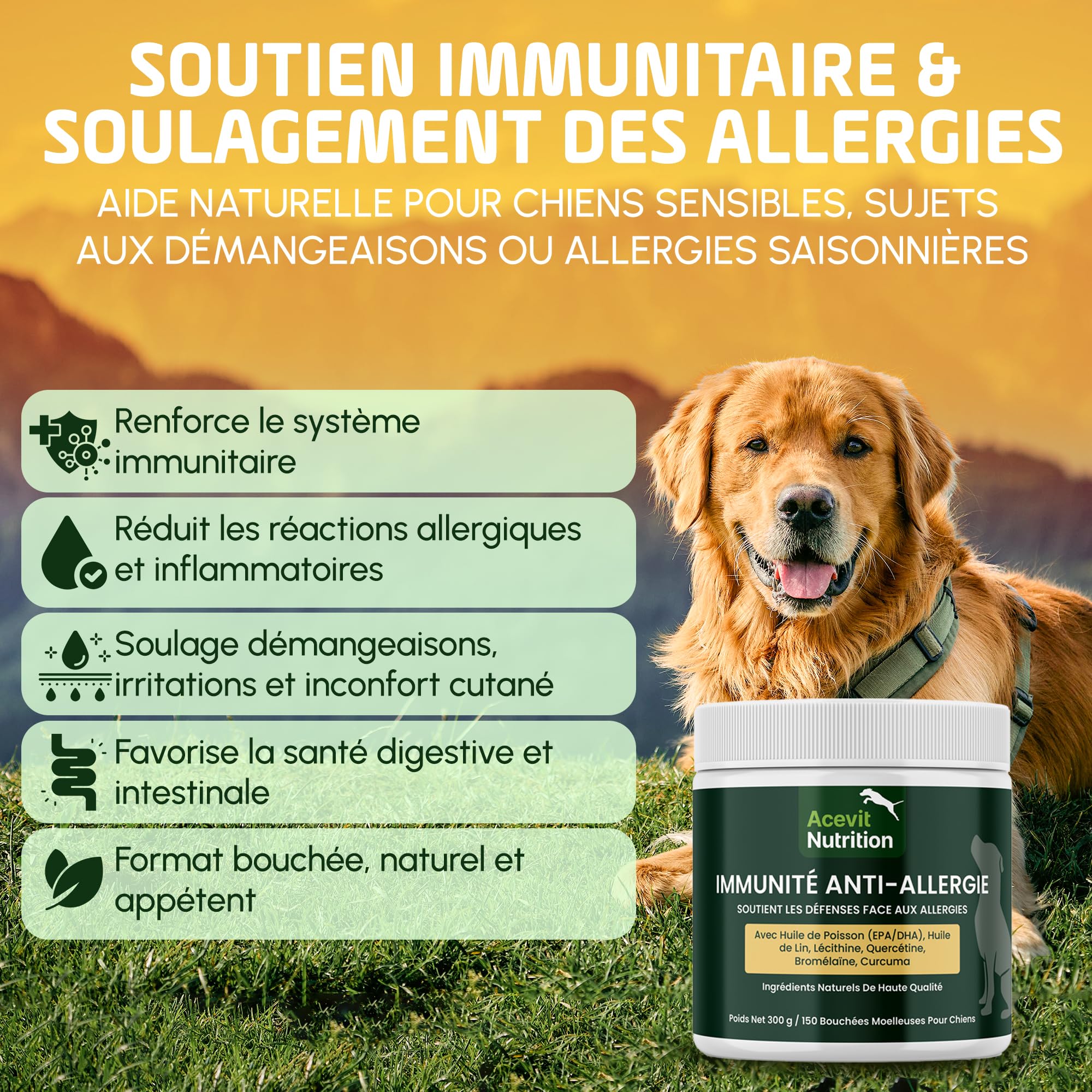 Anti Allergie Chien, 150 bouchées, 100% Naturel – Complément Immunitaire & Peau – Quercétine, Oméga 3, Curcuma – Anti Démangeaison, Allergies Alimentaires & Dermatite | Acevit Nutrition