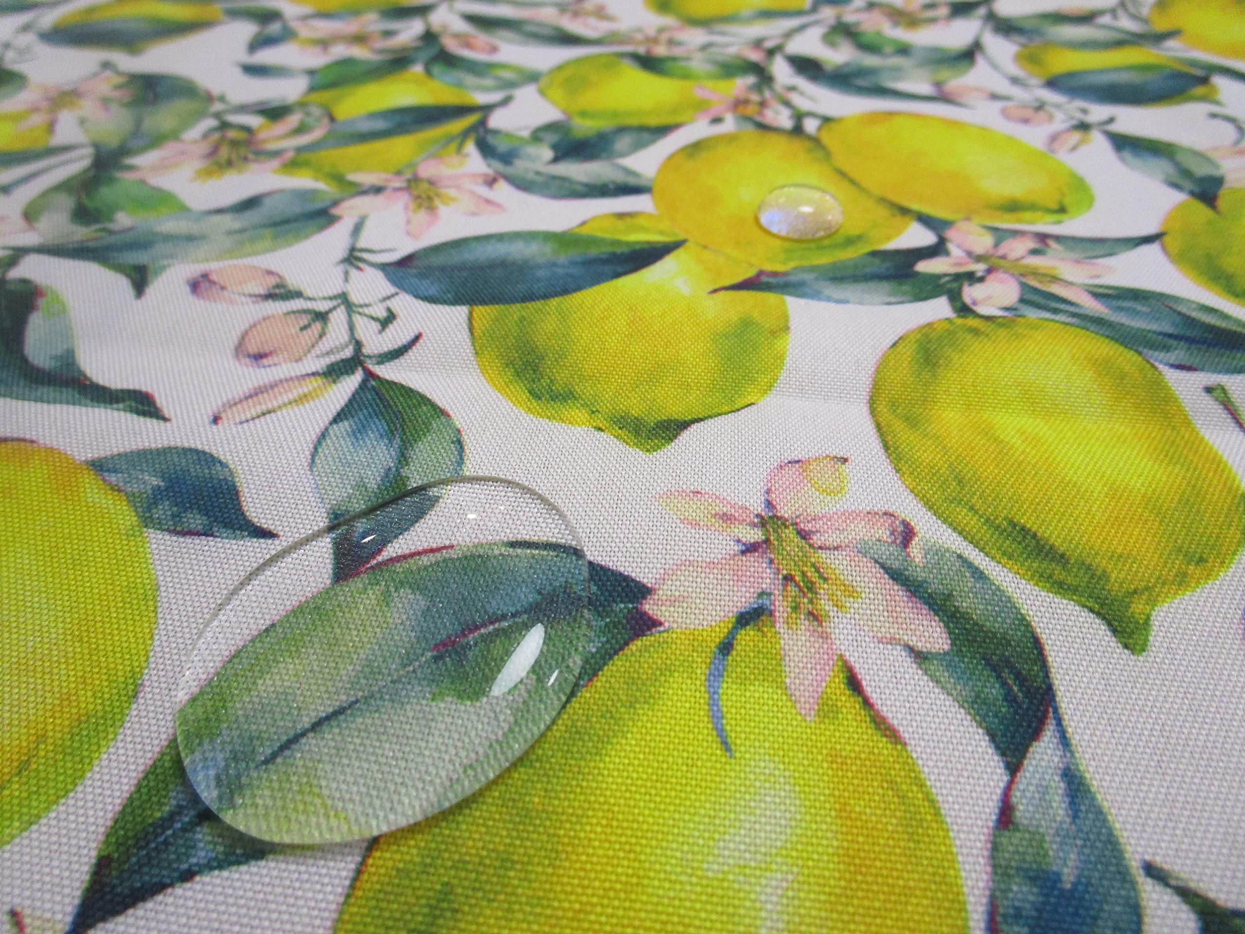 PIC NIC TOVAGLIA DA 6, Disegno LIMONI | Leroy Merlin