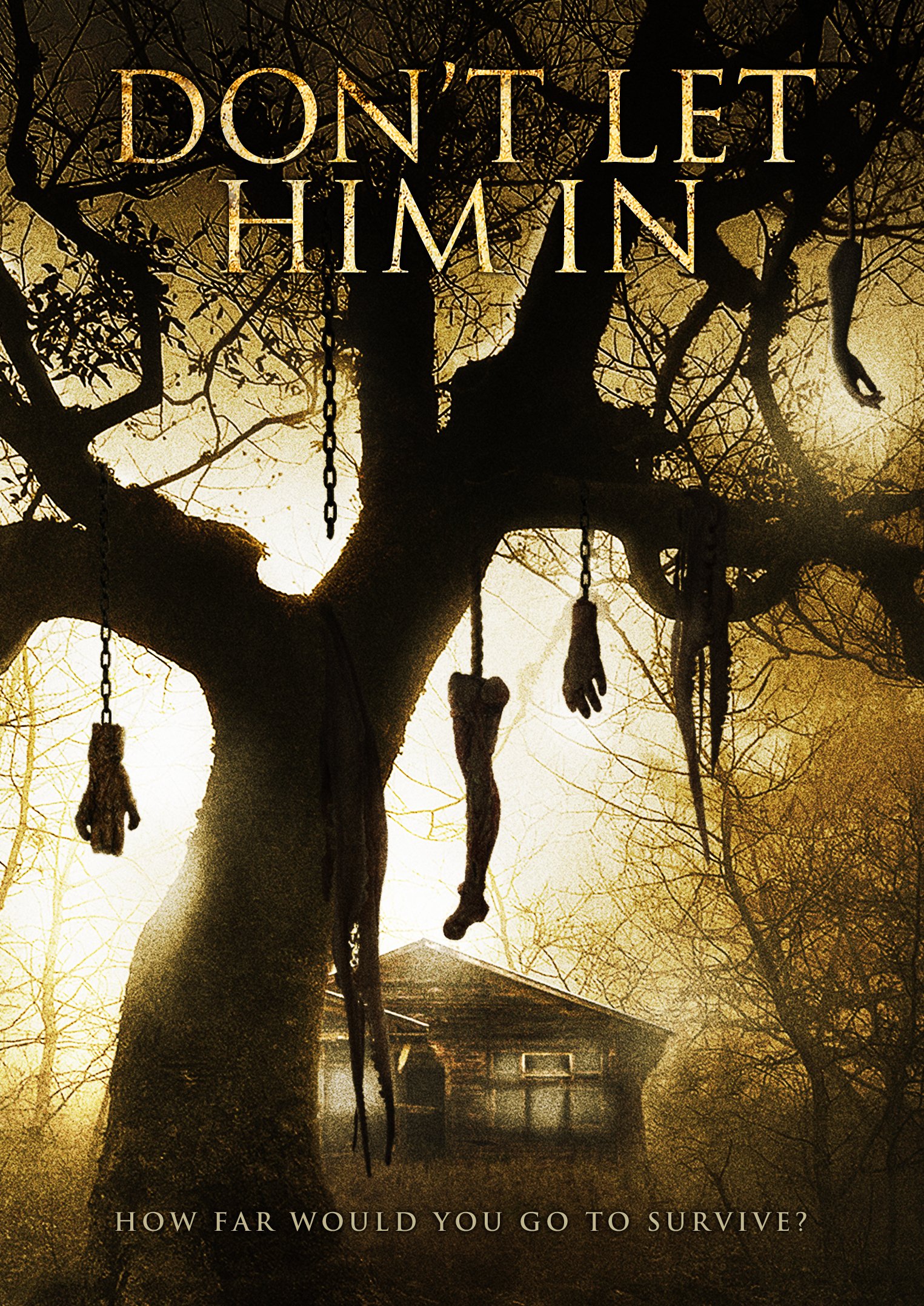 Amazon DON T LET HIM IN Esther Shephard Sam Hazeldine Gordon amazon-don-t-let-him-in-esther-shephard-sam-hazeldine-gordon