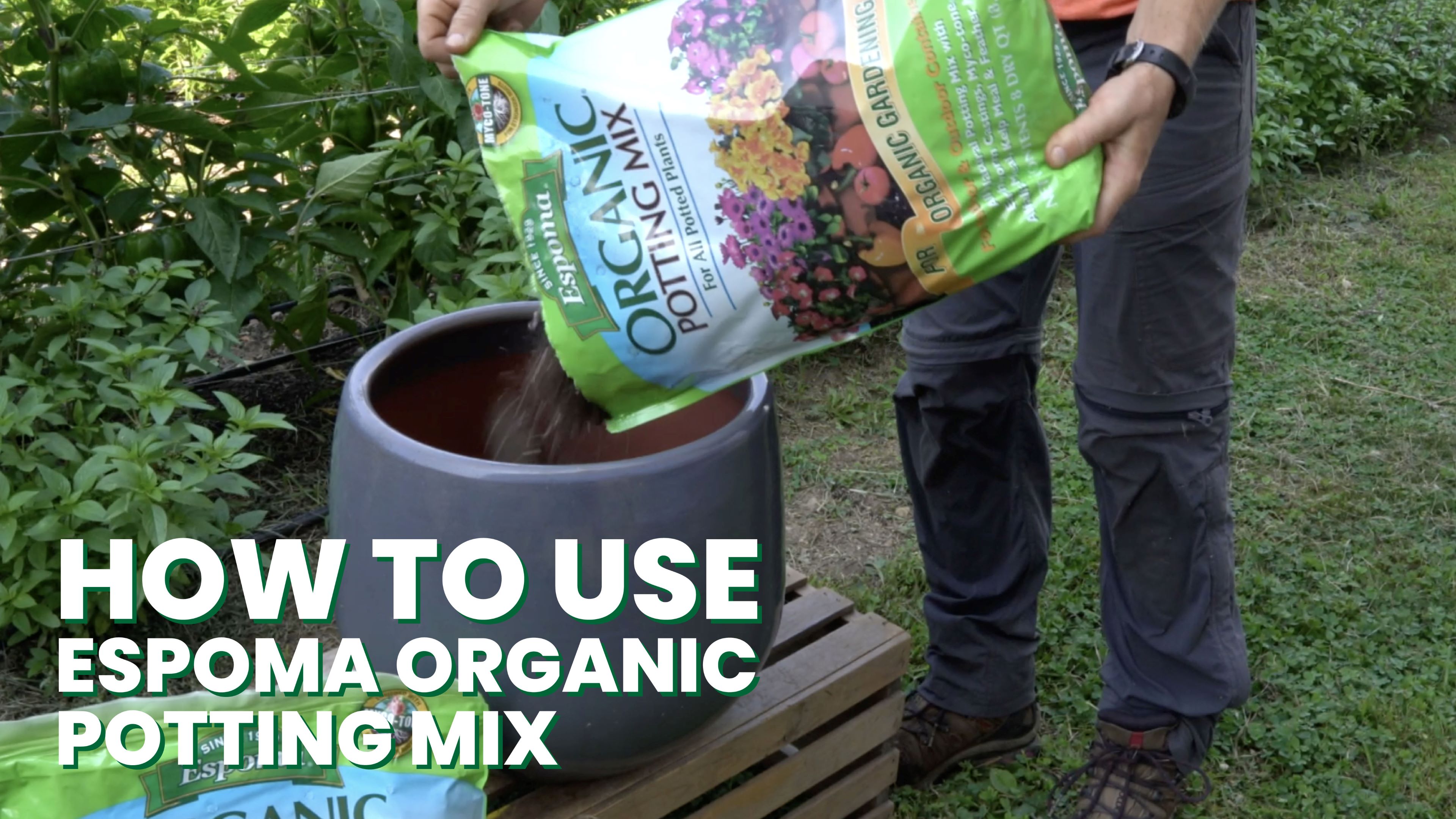 Amazon.com : Espoma Organic Potting Soil Mix - All Natural