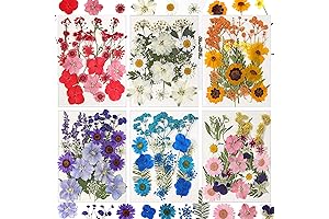 CONVELIFE 103pcs Natural Flowers and Leaves Compressed