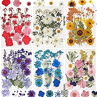 CONVELIFE 103pcs Natural Dried Pressed Flowers & Leaves for Resin Crafts, Epoxy Jewelry, Candles, Soap - Vacuum Packed DIY Kit
