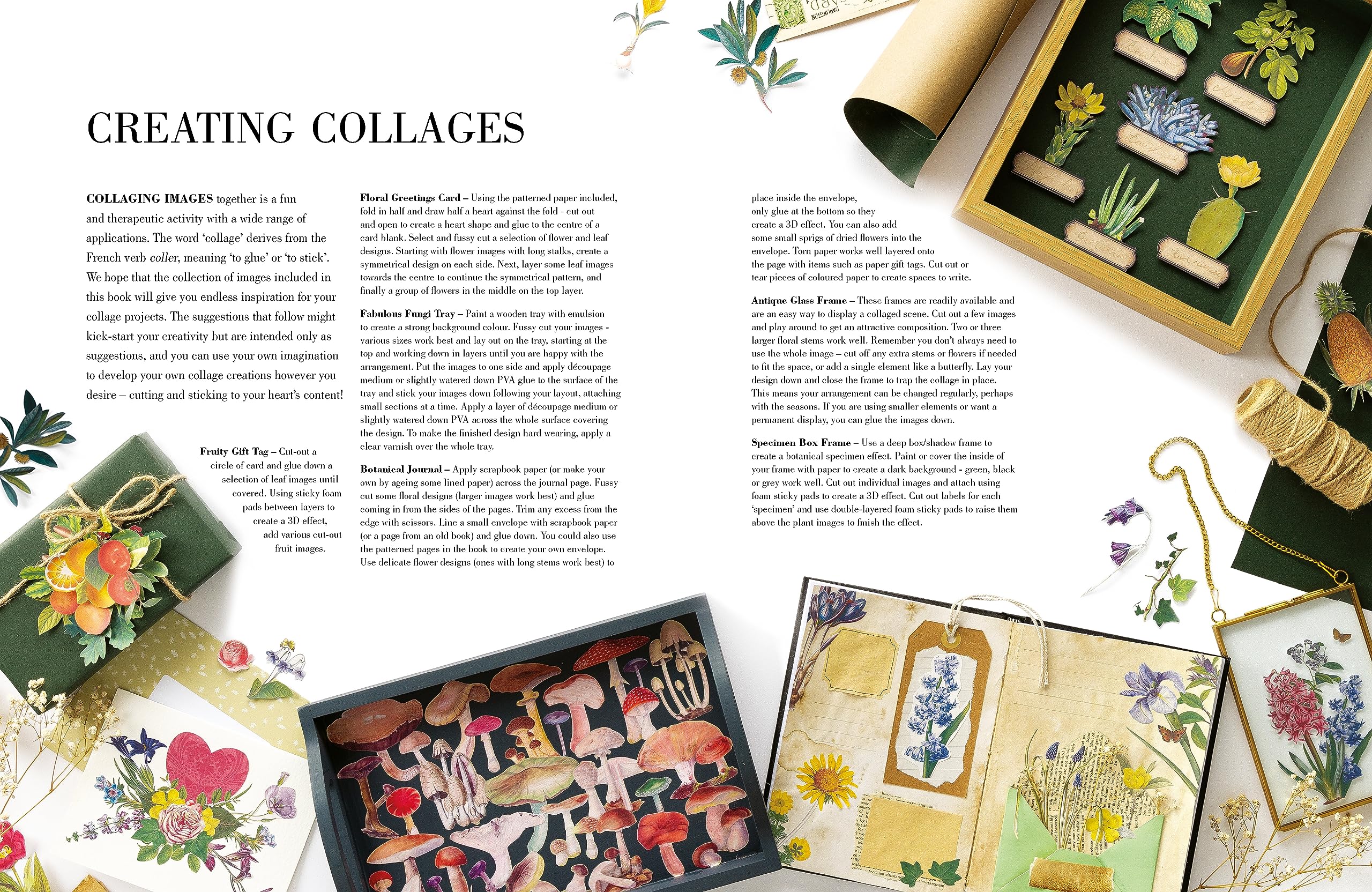 Botanical Art to Cut Out and Collage: Over 500 Botanical Illustrations to Inspire Creativity