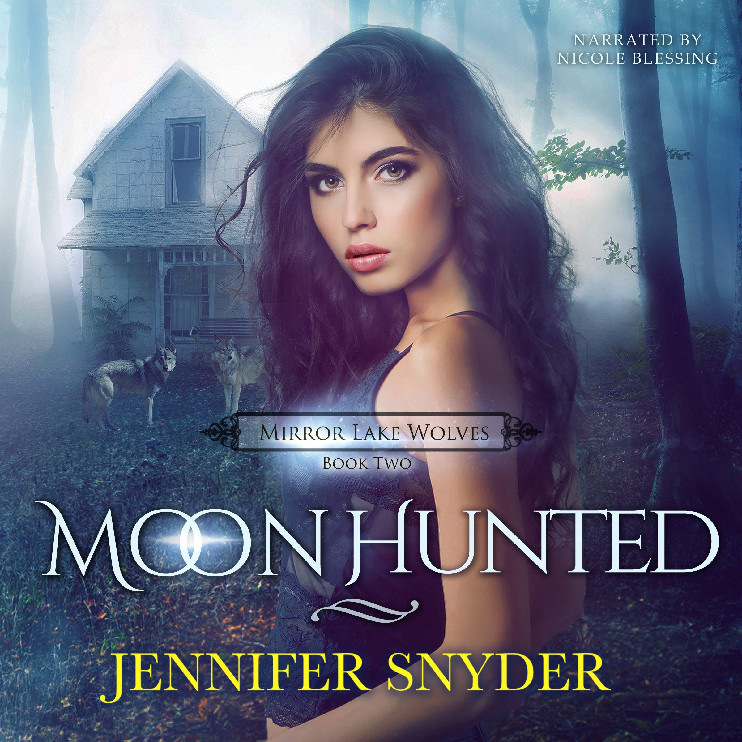 Cover art for Moon Hunted