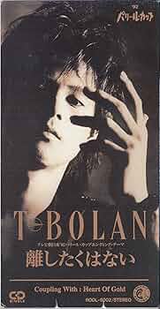 T-BOLAN シングルCD 9枚セット T-BOLAN シングルCD 9作 レトロ じれったい愛 離したくはない
