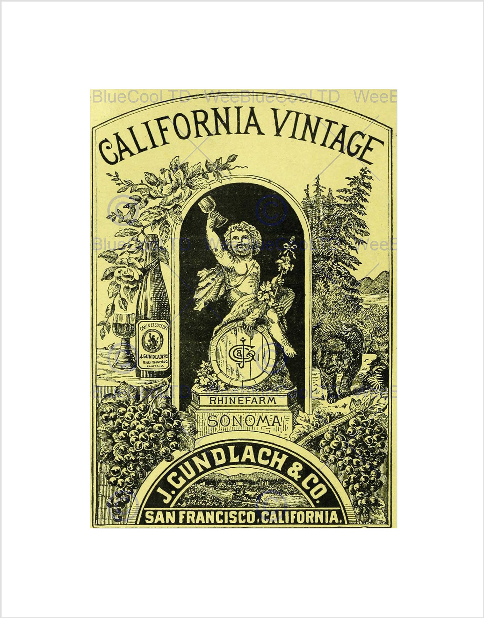 Wee Blue Coo Ad Food Wine Bear Gundlach California San Francisco Wall Art Print
