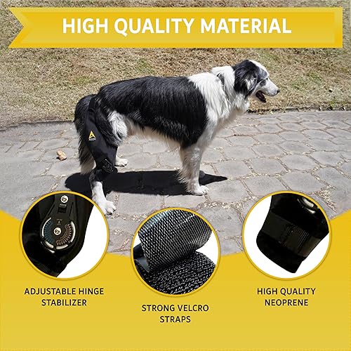 Miniatura 3 de AGON Rodillera para perros – Rodillera profesional para perros con estabilizador de bisagra ajustable – Rodillera de neopreno premium para soporte