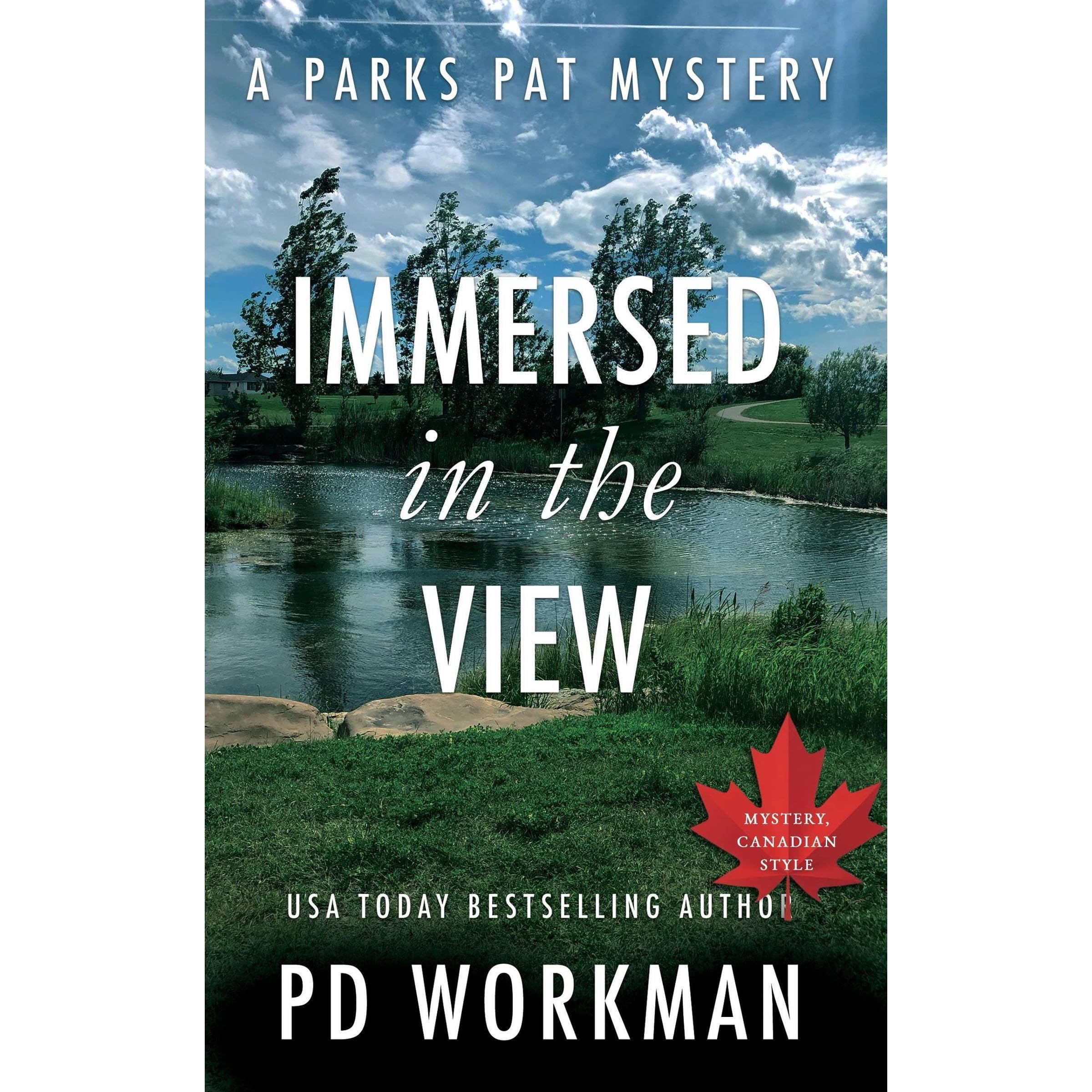 Immersed in the View