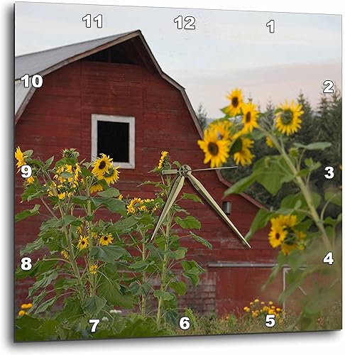 3D Rose Canada-Vancouver Island. Girasoles en frente de un granero rojo Glenora reloj de pared, 13" x 13"