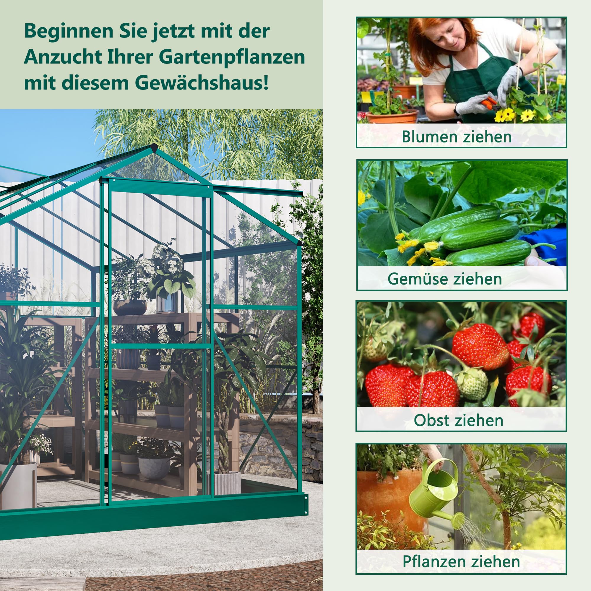 Gewächshaus Aluminium mit Fundament 254 x 190 cm, Hohlkammerplatten, Winterfest & UV-beständig, Stabil Gewächshäuser Tomaten, Frühbeet & Kräuter – Pflanzenhaus, Treibhaus für Garten, Grün