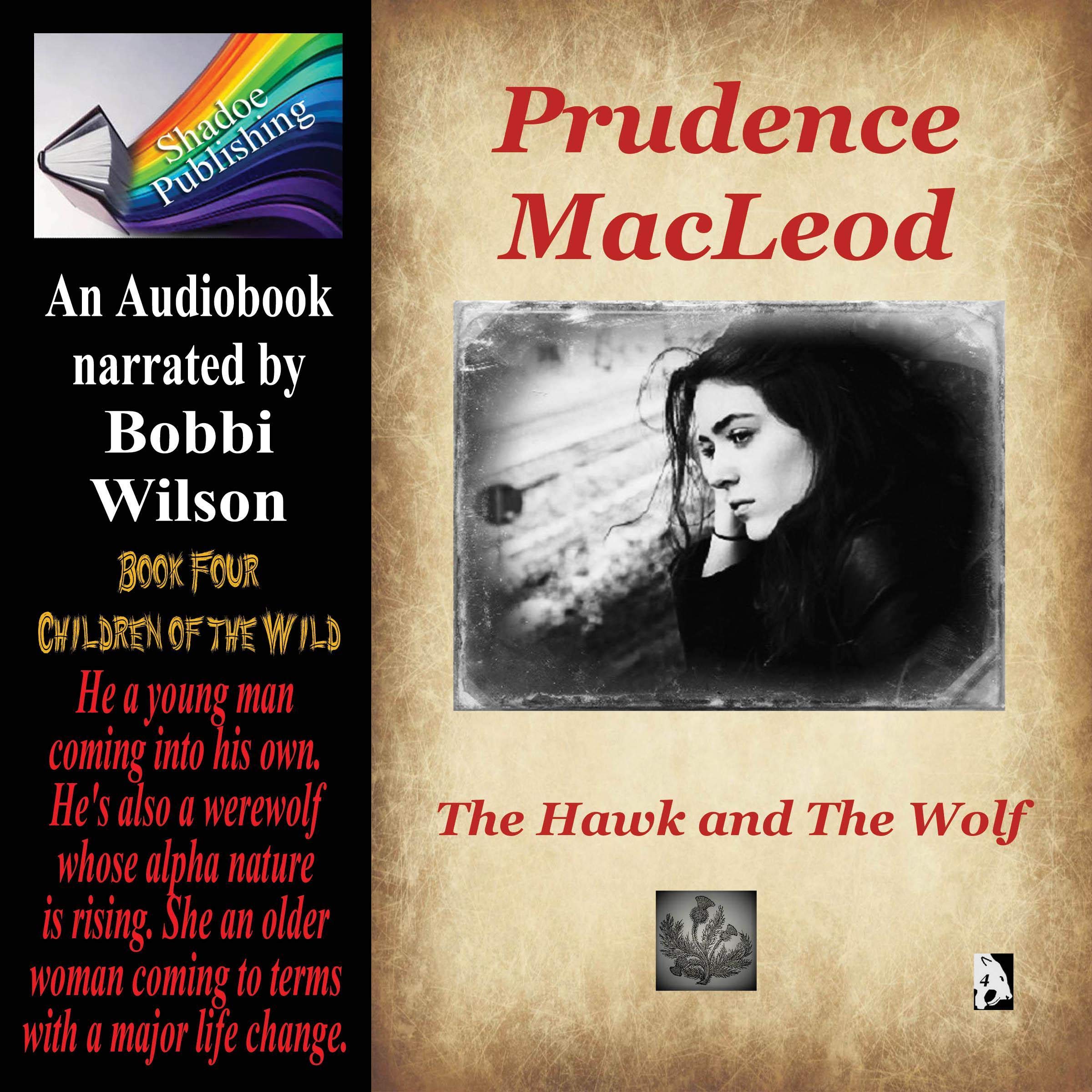 Cover art for The Hawk and the Wolf