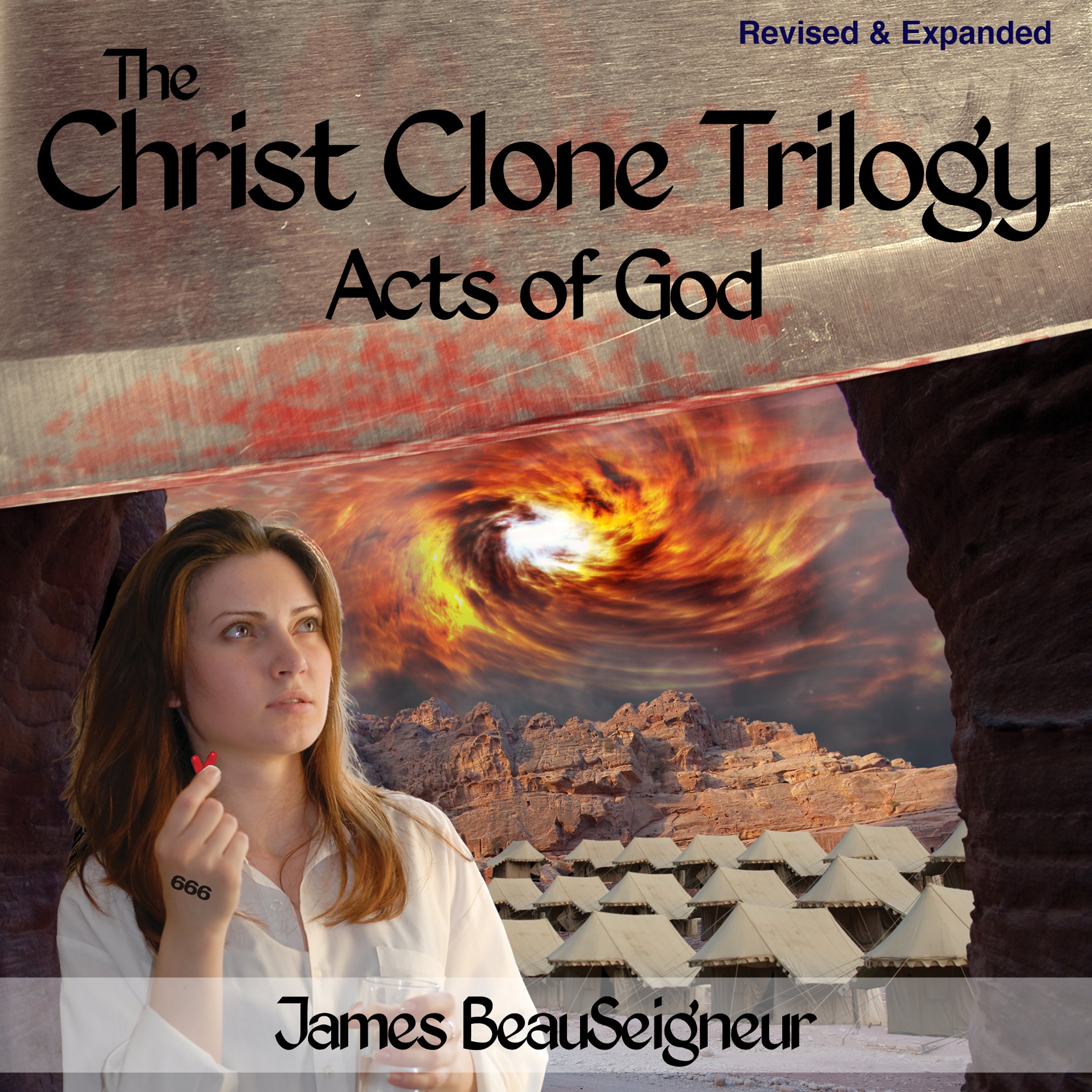 Cover art for Acts of God