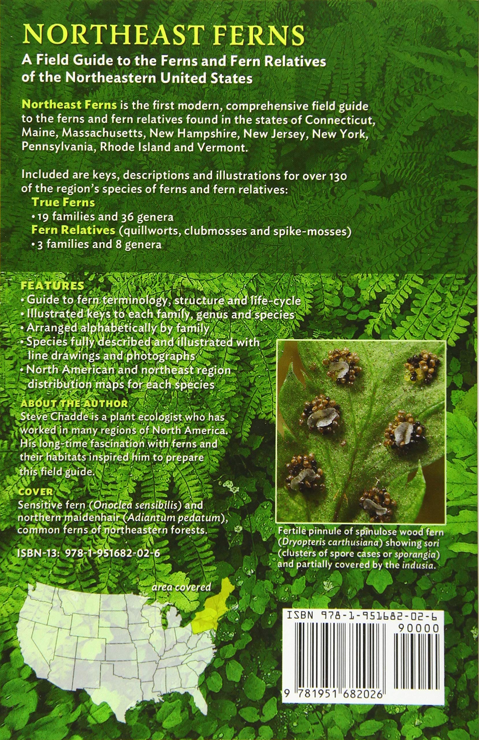 Northeast Ferns: A Field Guide to the Ferns and Fern Relatives of the Northeastern United States