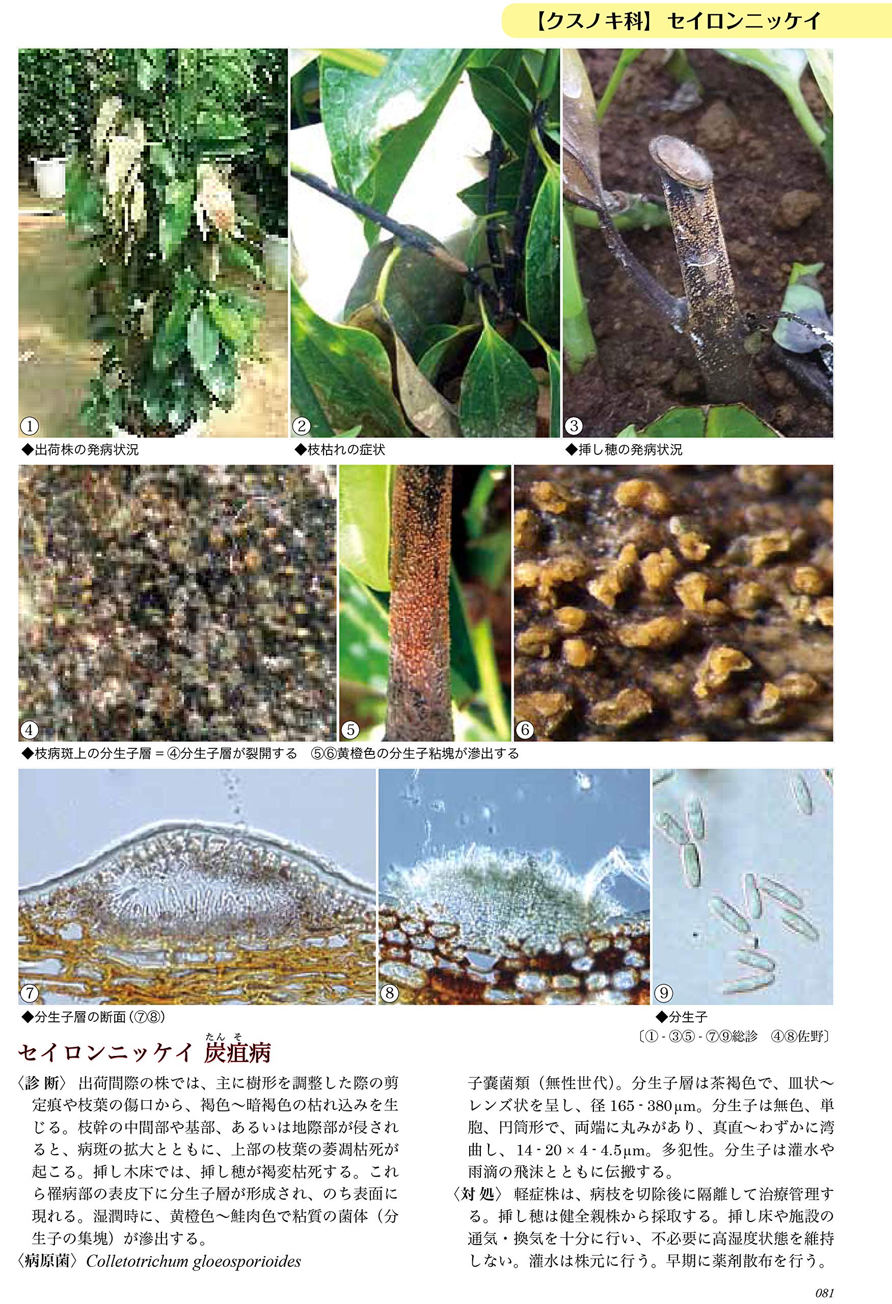 花と緑の病害図鑑 付・主要害虫解説