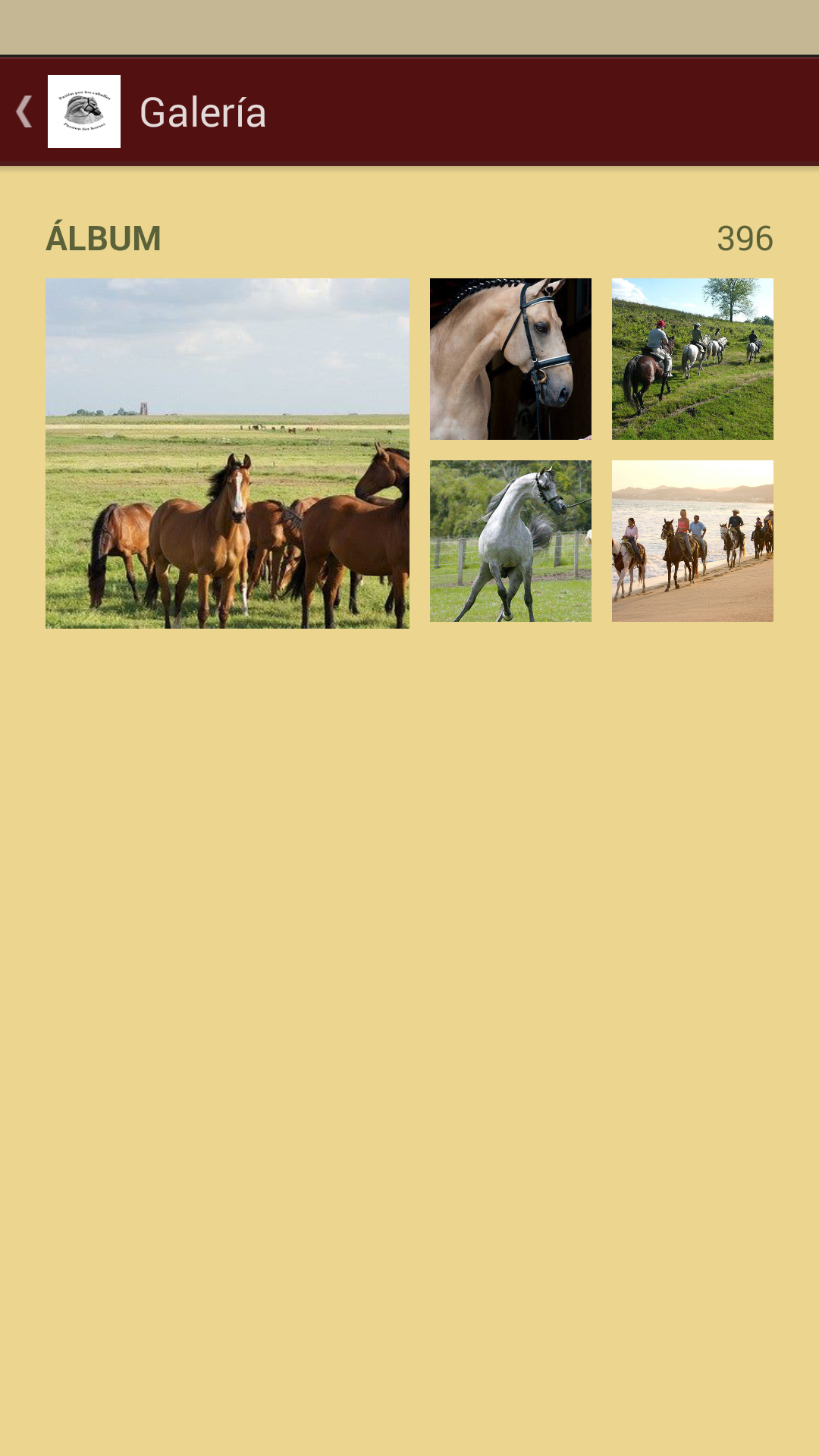 Pasión por los caballos - App on Amazon Appstore